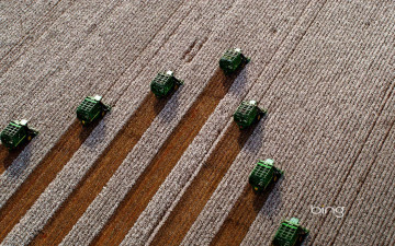 Картинка техника комбайны поле уборка урожай