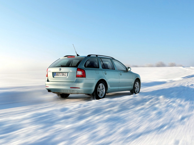 Обои картинки фото автомобили, skoda