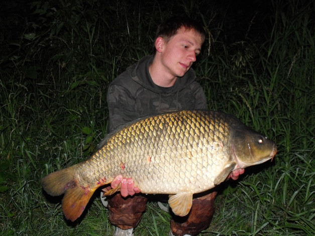 Обои картинки фото животные, рыбы, рыба, улов