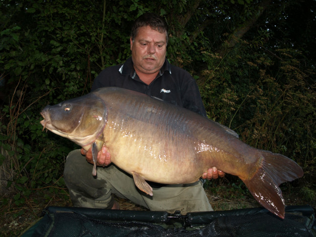 Обои картинки фото животные, рыбы, рыба, улов