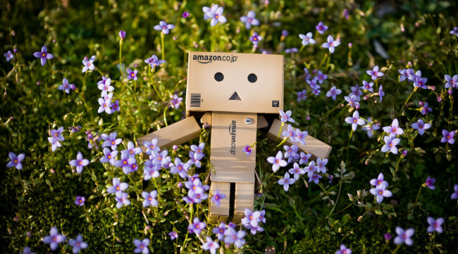 Обои картинки фото разное, данбо, danboard, цветы, коробочка, danbo