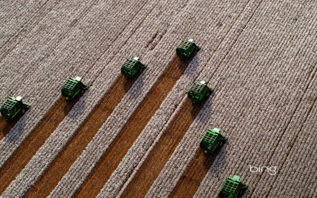 Обои картинки фото техника, комбайны, поле, уборка, урожай