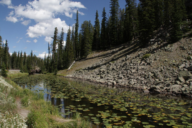 Обои картинки фото природа, реки, озера, облака, река, лес