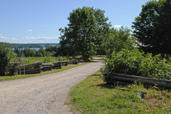 Картинка природа дороги дорога