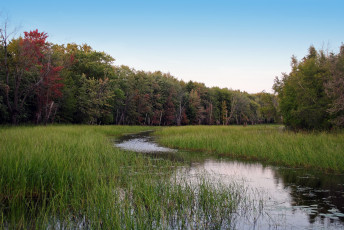 Картинка природа реки озера река лес луг