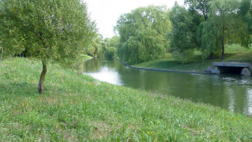 Картинка природа пейзажи лето зелень речка