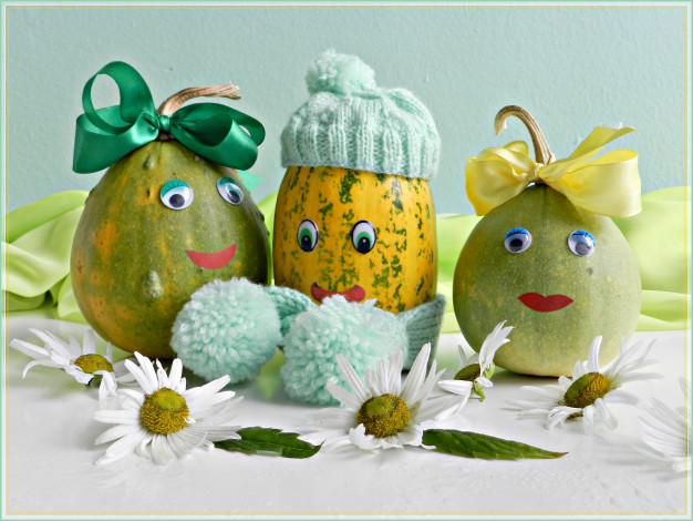 Обои картинки фото разное, ремесла, поделки, рукоделие, ручная, работа, семейство, прикол, фотография, флора, цветы, ромашка, родня, юмор, смешные, творчество, природа, позитив, осень, октябрь, семья, тыква, фантазия, овощи, кабачок, выдумка