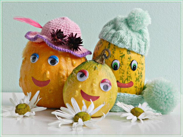 Обои картинки фото разное, ремесла, поделки, рукоделие, семейство, ручная, работа, ромашка, кабачок, родня, природа, фантазия, тыква, семья, выдумка, флора, фотография, цветы, юмор, прикол, позитив, осень, октябрь, овощи, смешные, творчество
