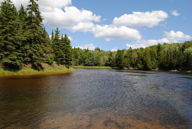 Обои картинки фото природа, реки, озера, лес, река