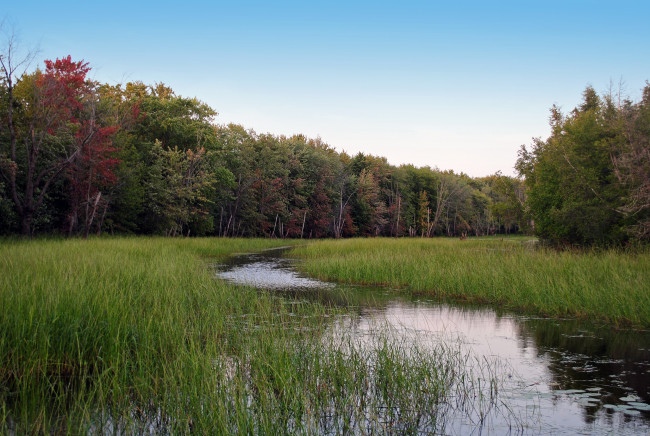 Обои картинки фото природа, реки, озера, река, лес, луг