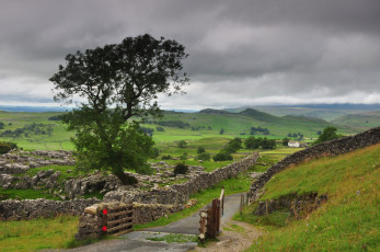 Картинка природа дороги равнина изгородь дорожка