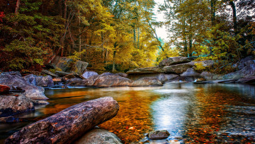 Картинка природа реки озера камни лес река