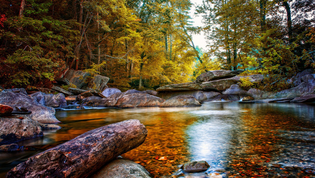 Обои картинки фото природа, реки, озера, камни, лес, река