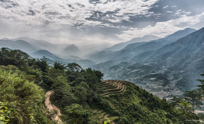 Обои картинки фото природа, горы, террасы, туман, лес