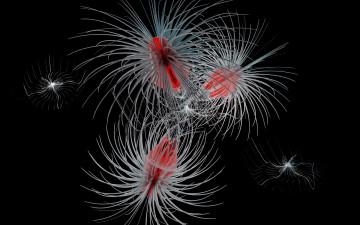 Картинка 3д+графика абстракция+ abstract цвета фон узор