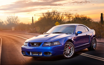 Картинка автомобили mustang