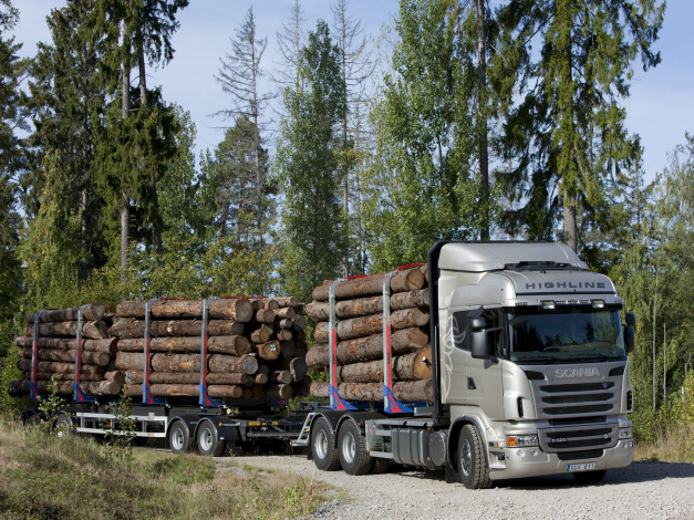 Обои картинки фото автомобили, scania, r620, truck, timber, highline