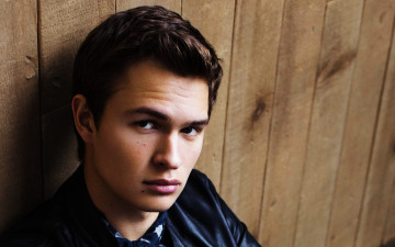Картинка ansel+elgort мужчины взгляд