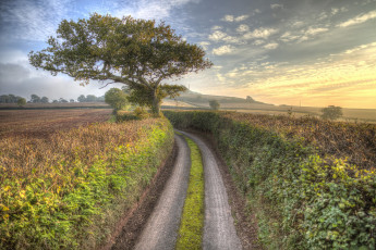 Картинка природа дороги простор