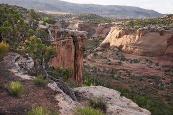 Картинка природа горы простор