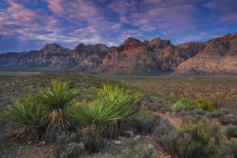 Картинка природа пустыни простор