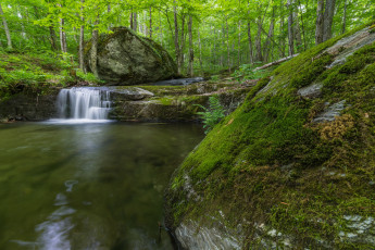 Картинка природа реки озера простор