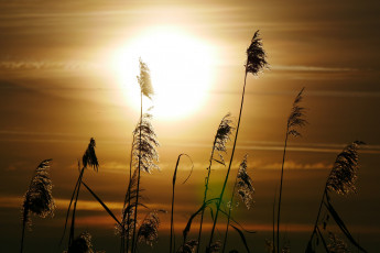 Картинка природа восходы закаты простор