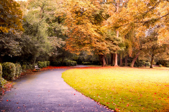 Картинка природа парк простор