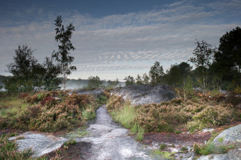 Картинка природа реки озера простор