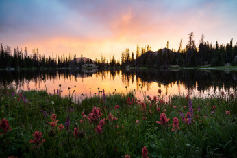 Картинка природа реки озера простор