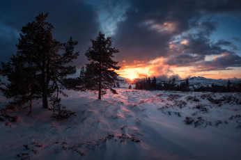 Картинка природа зима простор