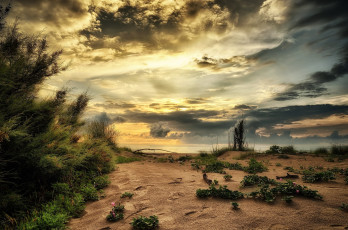 Картинка природа пейзажи простор