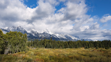 Картинка природа пейзажи простор