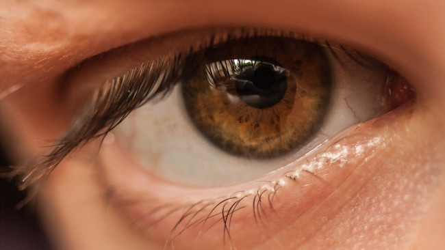 Обои картинки фото разное, глаза, макро