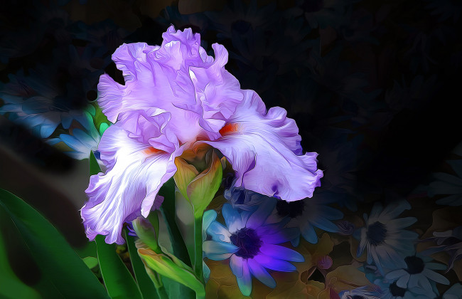 Обои картинки фото разное, компьютерный дизайн, линии, краски, макро, лепестки, ирис, цветок