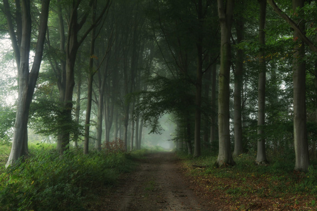 Обои картинки фото природа, дороги, простор