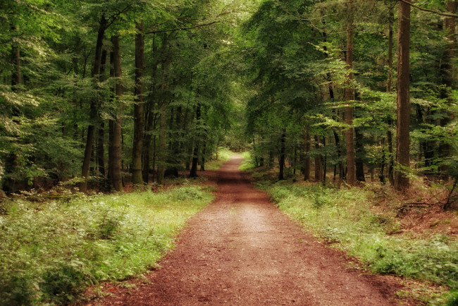 Обои картинки фото природа, дороги, простор