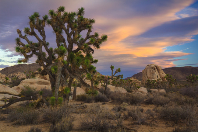 Обои картинки фото природа, пустыни, простор