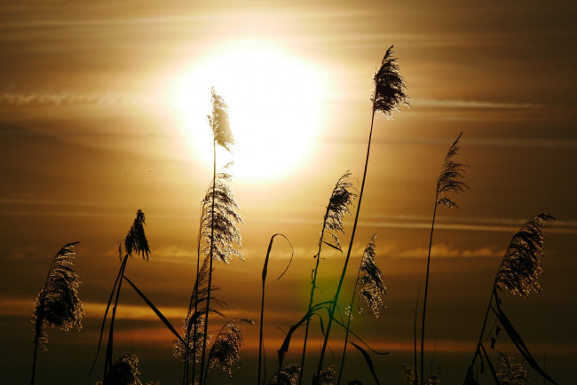 Обои картинки фото природа, восходы, закаты, простор