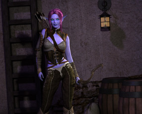 Картинка 3д+графика эльфы+ elves фон взгляд эльфийка