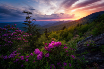 Картинка природа пейзажи простор