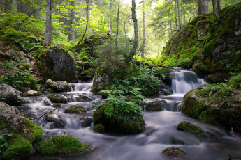 Картинка природа реки озера простор