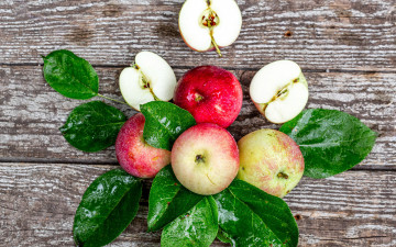 Картинка еда яблоки краснобокие