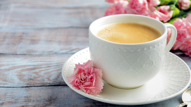 Обои картинки фото еда, кофе,  кофейные зёрна, чашка, блюдце, гвоздика