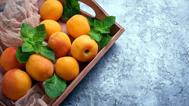 Обои картинки фото еда, персики,  сливы,  абрикосы, абрикосы