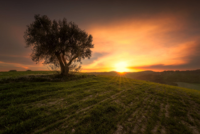 Обои картинки фото природа, восходы, закаты, простор