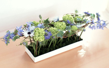 обоя цветы, букеты,  композиции, композиция