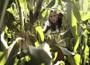 обоя кино фильмы, alias, девушка, поле, кукуруза