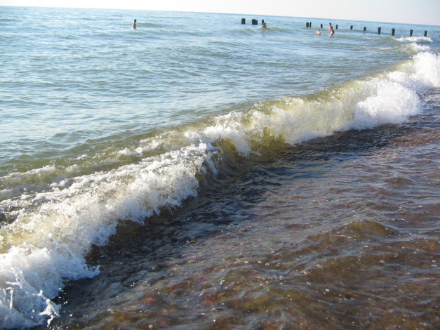 Обои картинки фото 