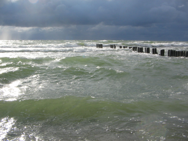 Обои картинки фото 